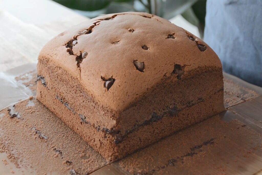 Best Chocolate Castella Cake Recipe